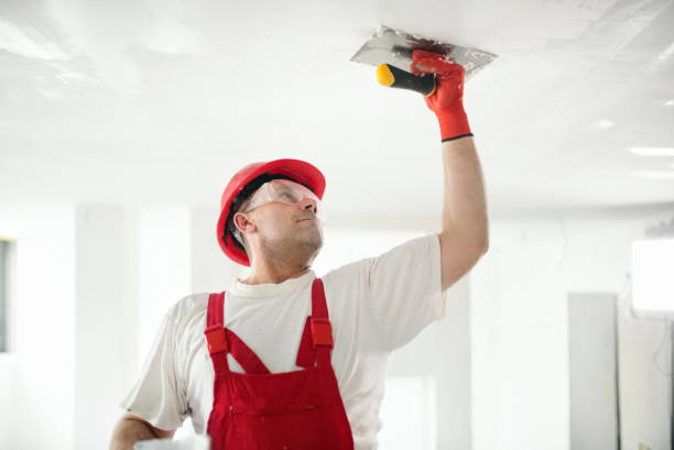 Best Forensic Mold Investigation  in Byrdstown, TN