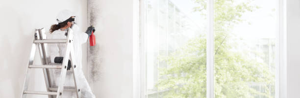 Best Residential Mold Inspection & Testing  in Byrdstown, TN