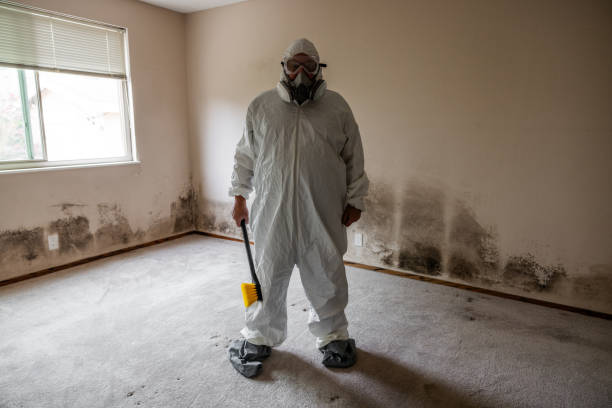 Best Mold Odor Removal Services  in Byrdstown, TN