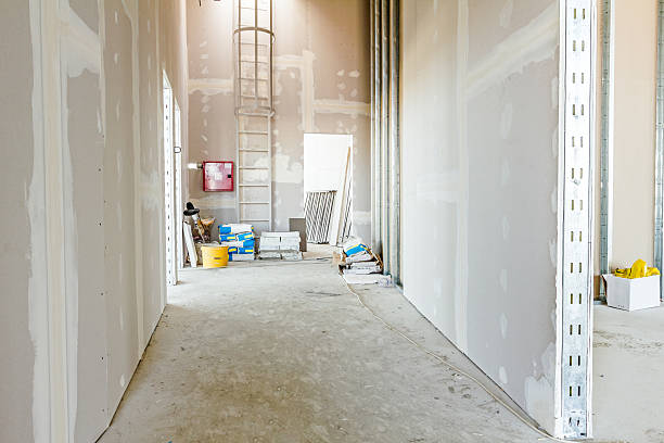 Reliable Byrdstown, TN Mold Removal Solutions
